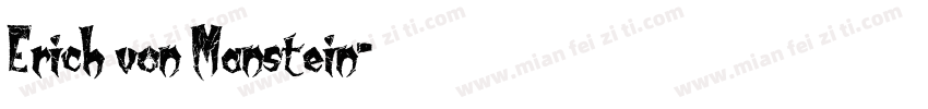 Erich von Manstein字体转换